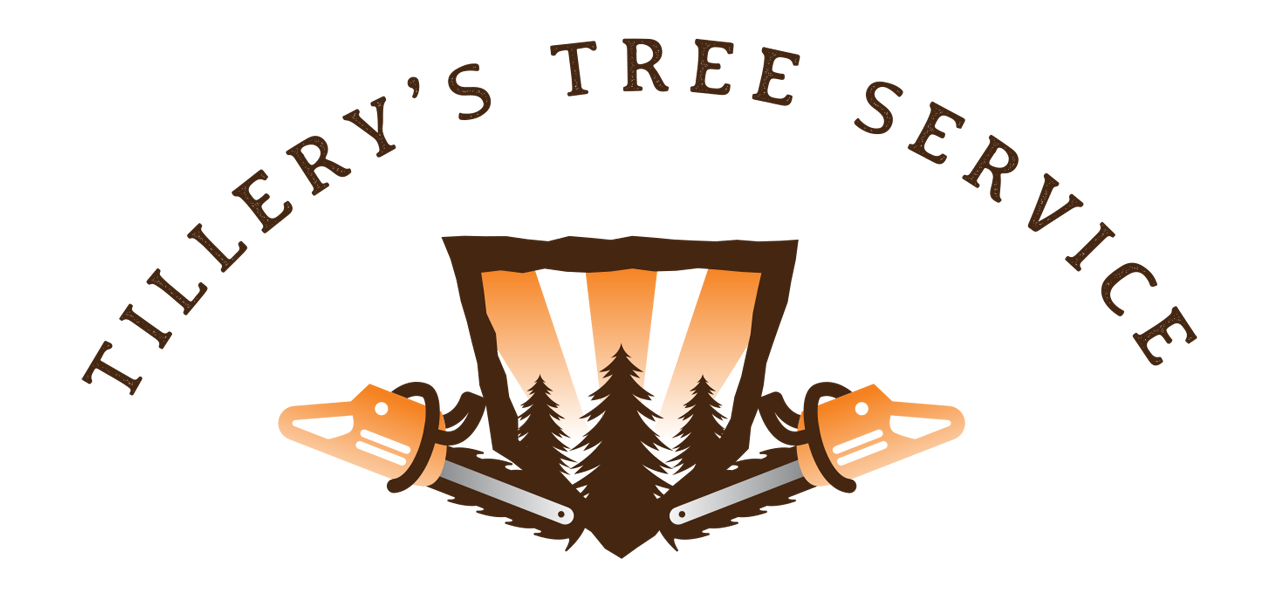 TTS Logo