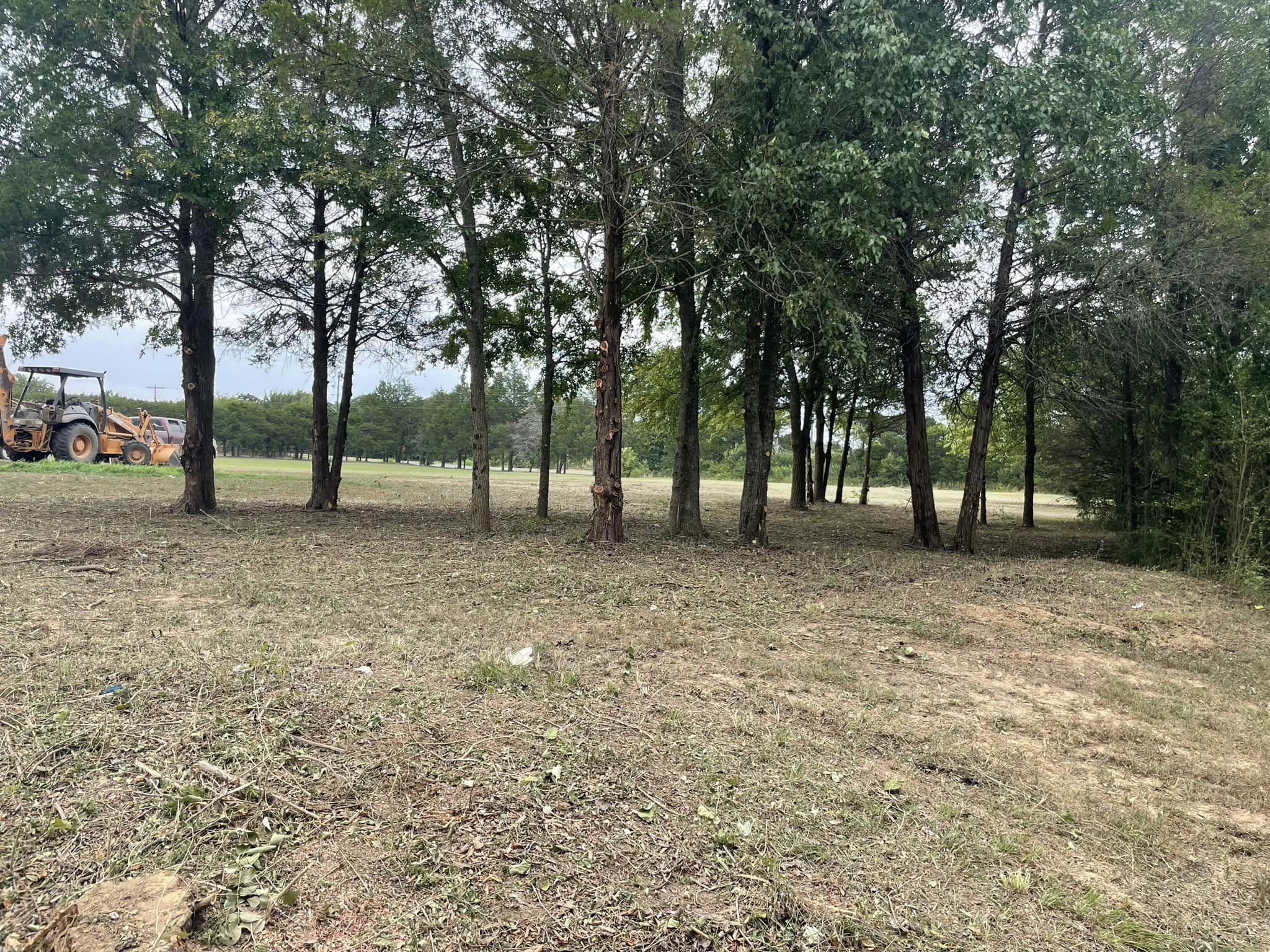 Trimming