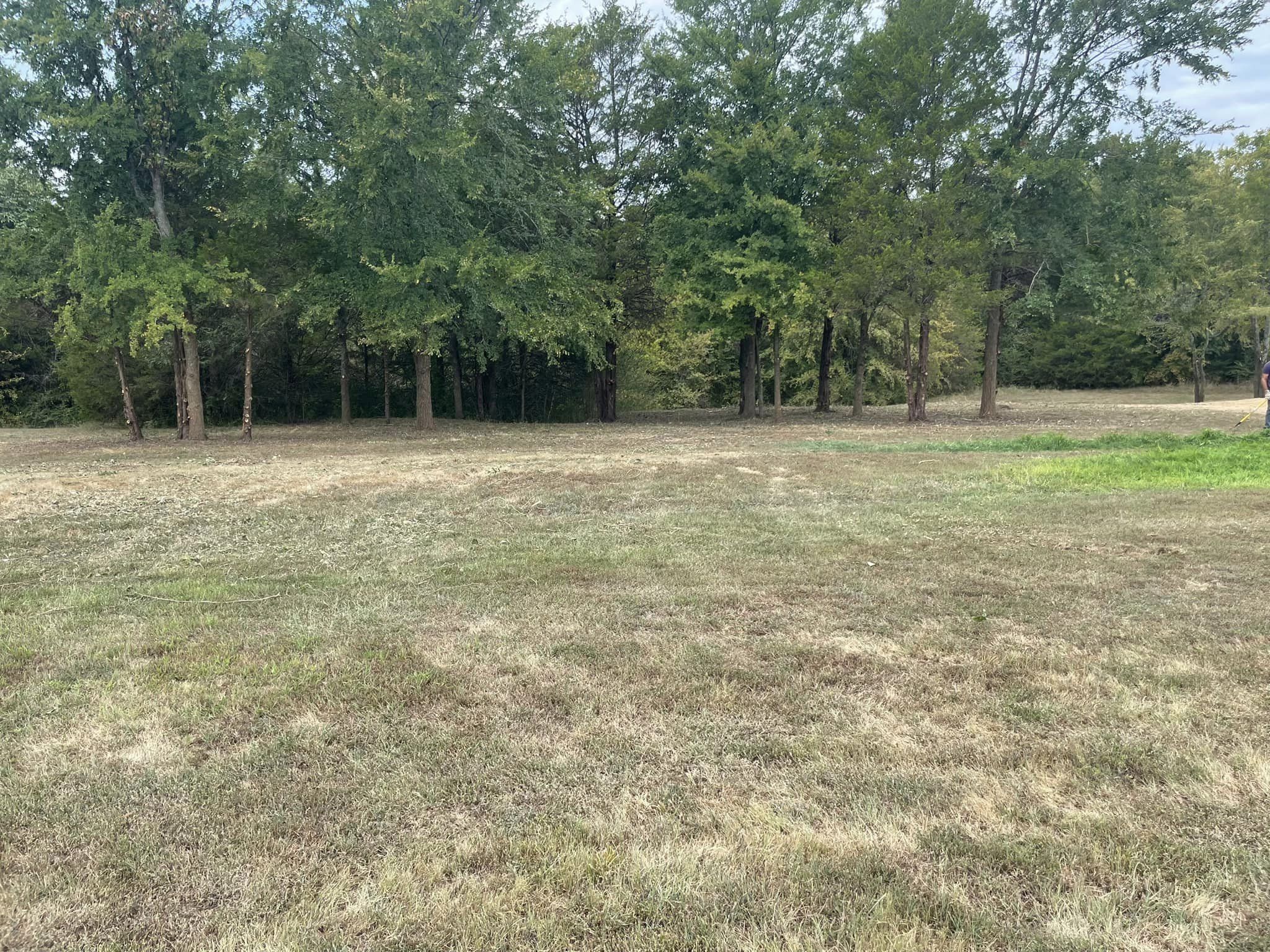 Trimming