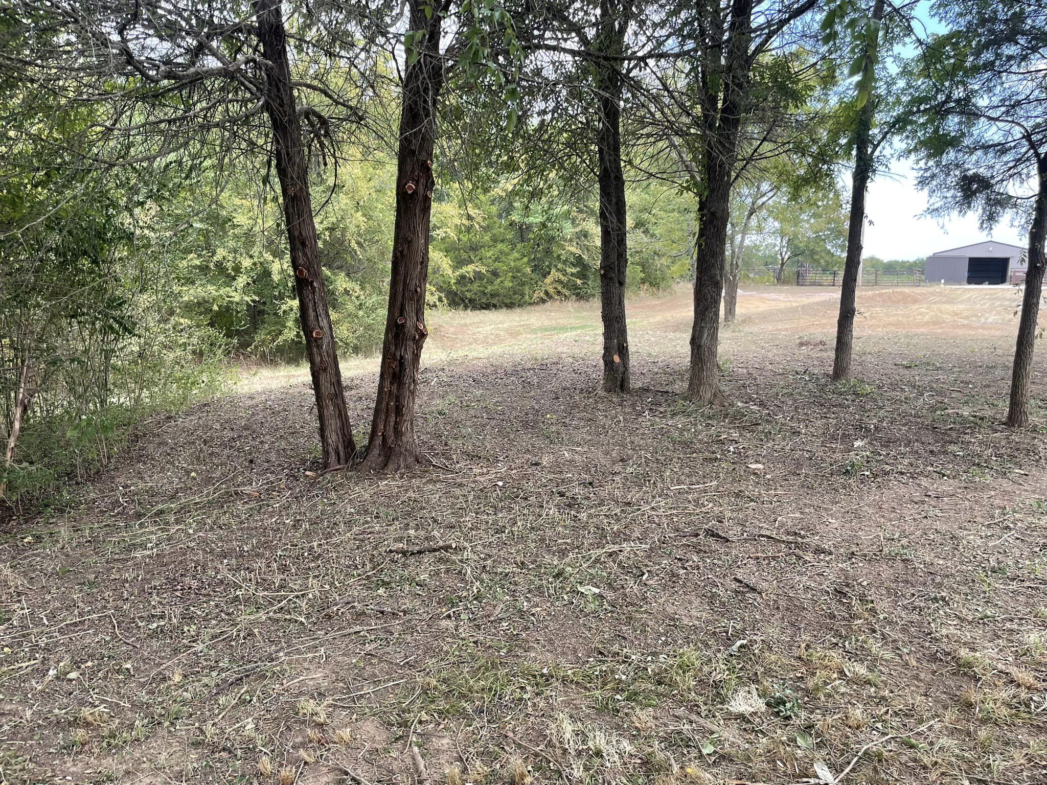 Trimming